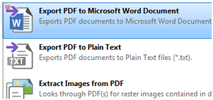 PDF als Microsoft Word Dokument exportieren